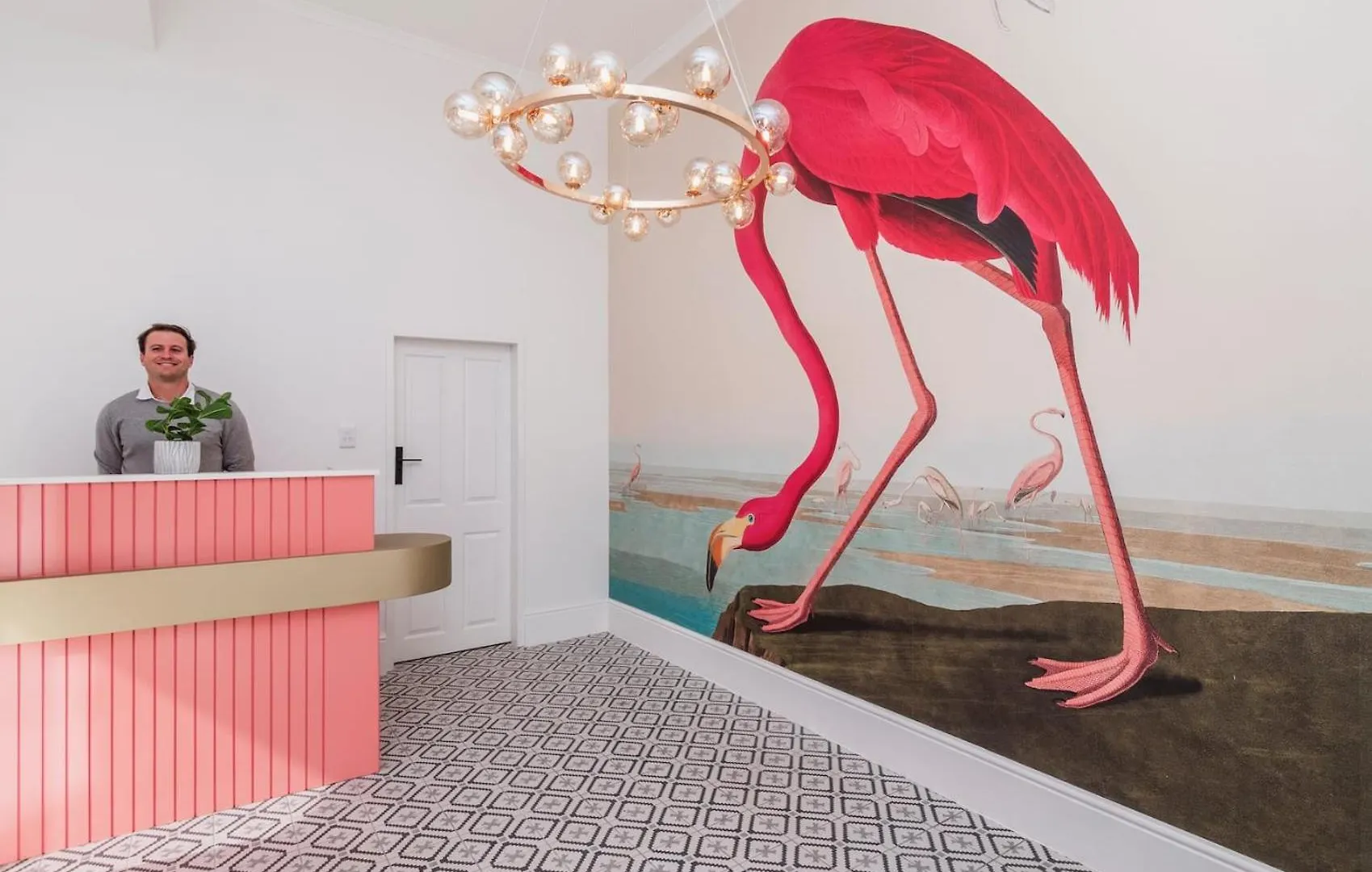 Flamingo On Hope Apartment Cape Town 0*,