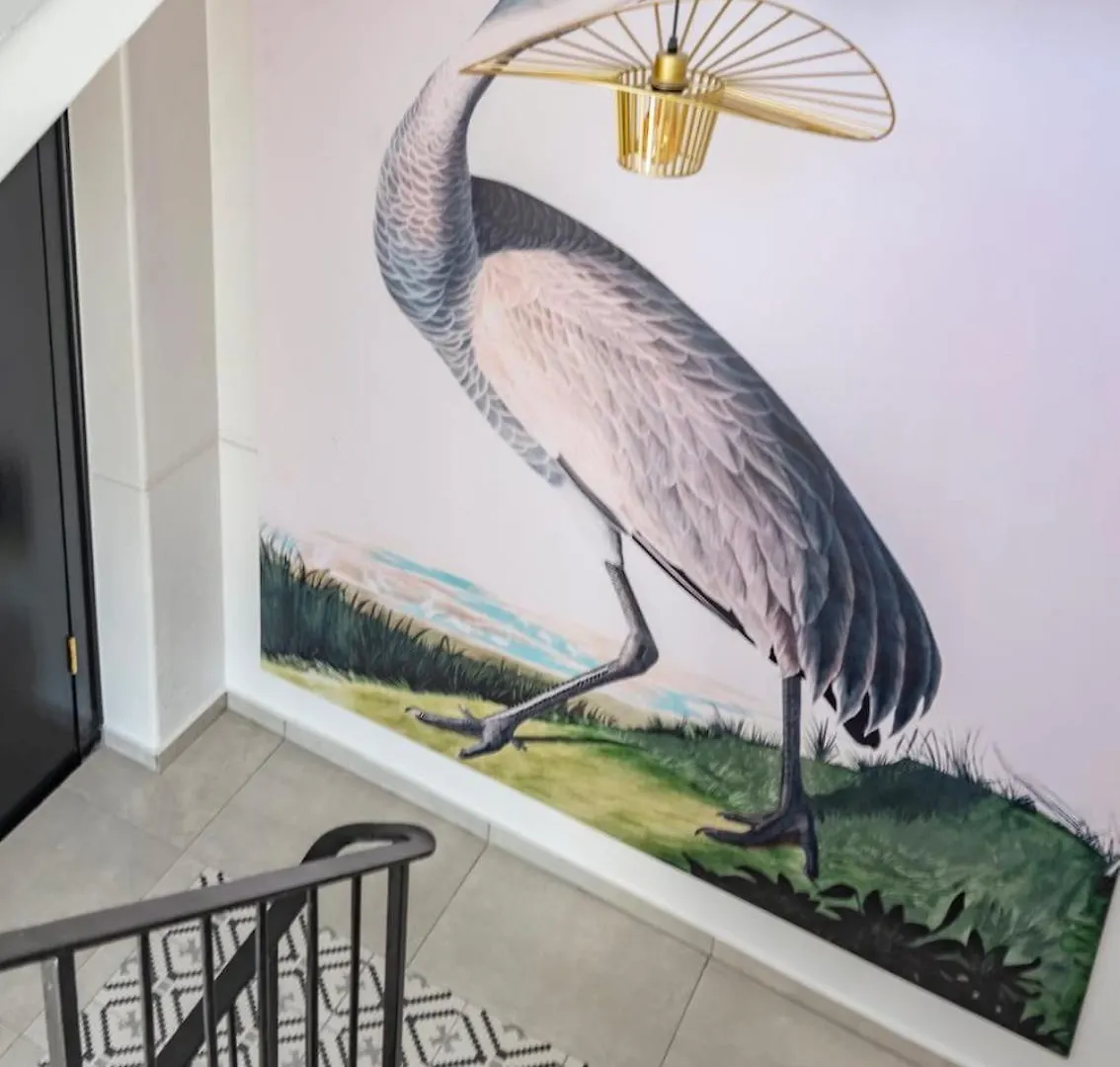 Flamingo On Hope Apartment Cape Town