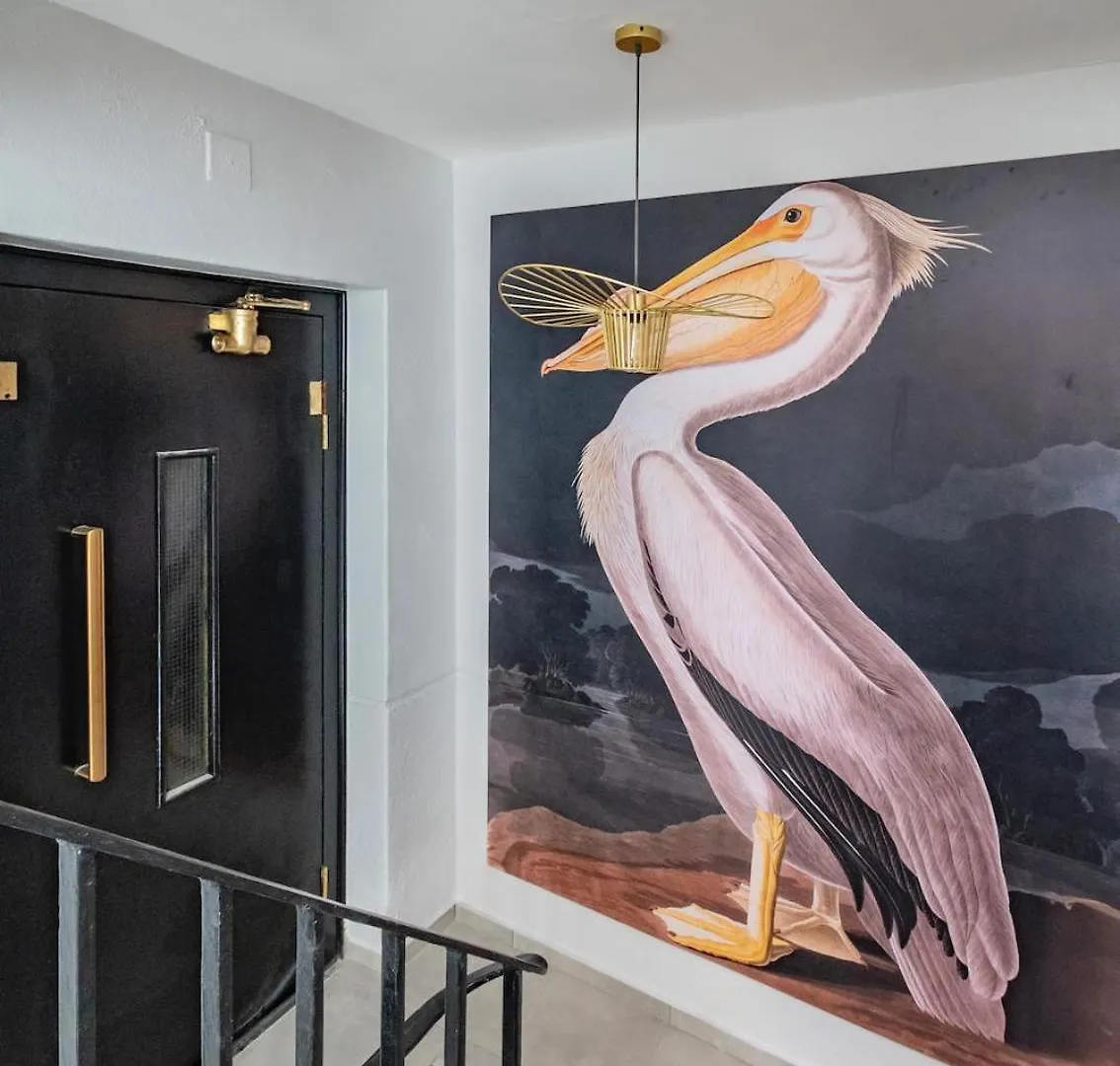 Flamingo On Hope Apartment Cape Town 0*,