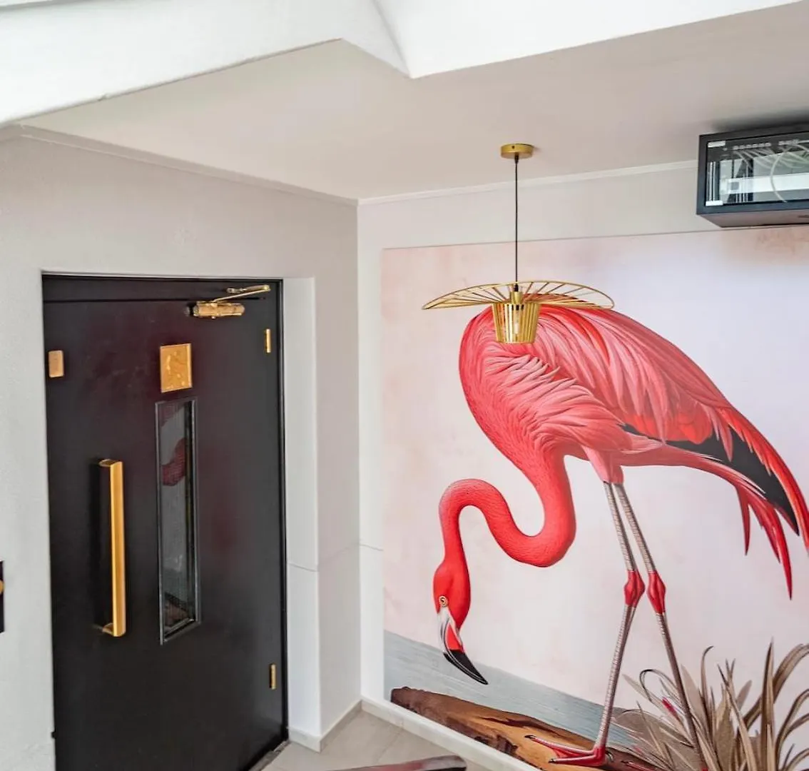 Flamingo On Hope Apartment Cape Town 0*,